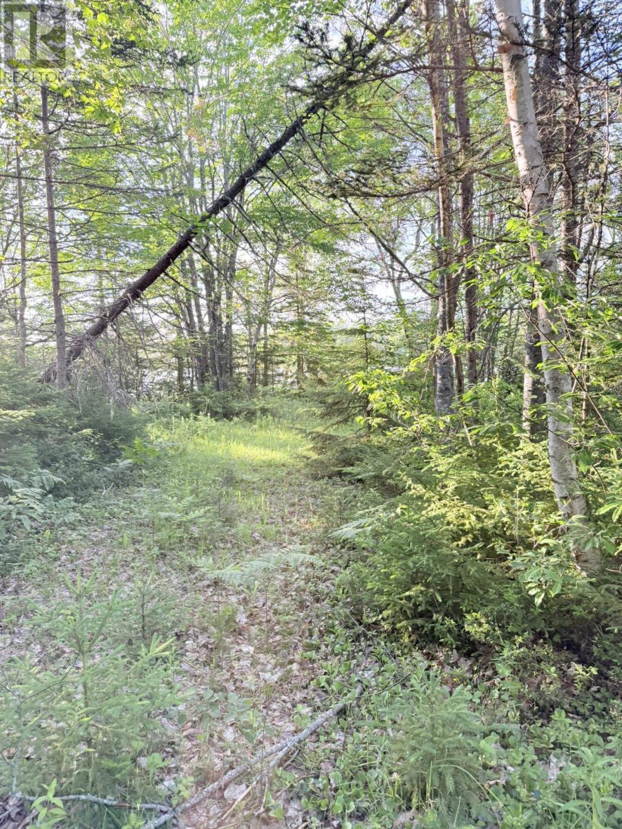 5 Acres Floating Bridge Road, Rte 202, Murray River, Prince Edward Island  C0A 1W0 - Photo 11 - 202614673