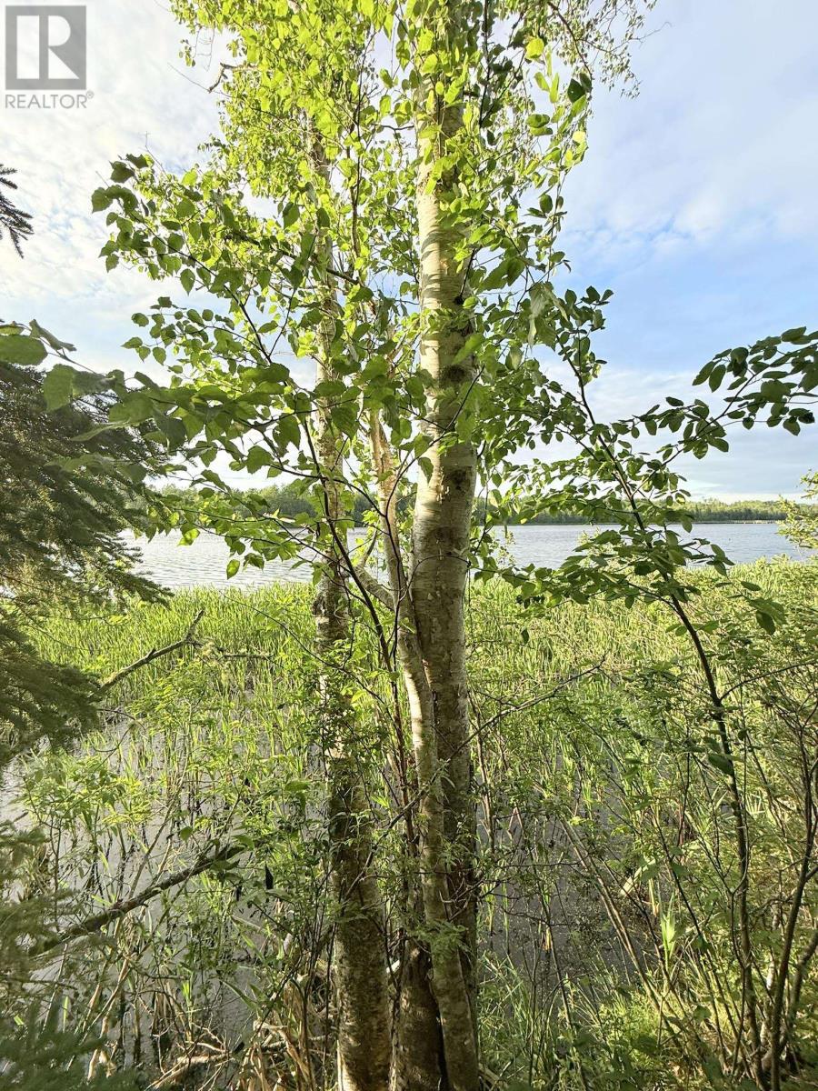 5 Acres Floating Bridge Road, Rte 202, Murray River, Prince Edward Island  C0A 1W0 - Photo 17 - 202614673