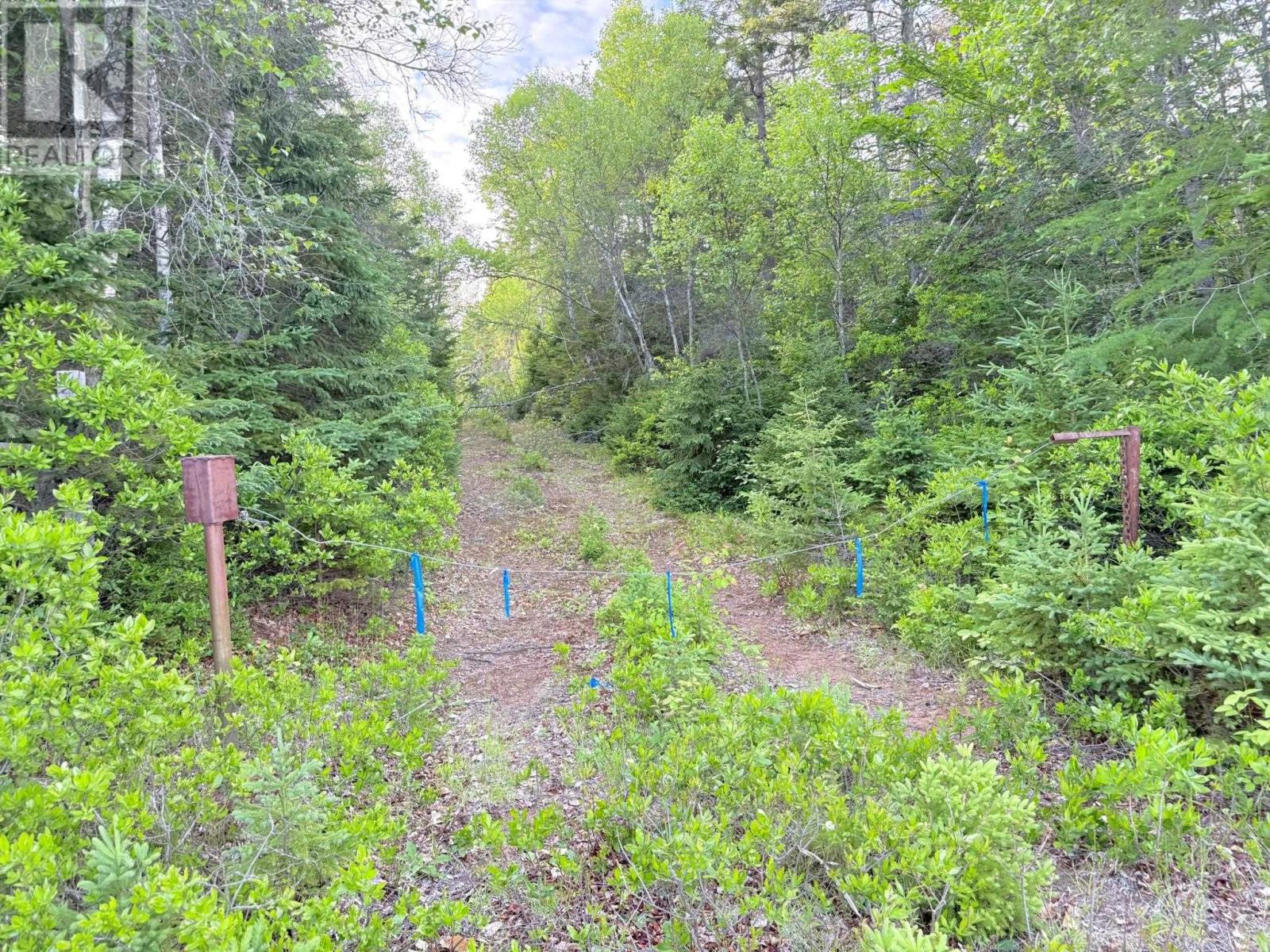 5 Acres Floating Bridge Road, Rte 202, Murray River, Prince Edward Island  C0A 1W0 - Photo 22 - 202614673