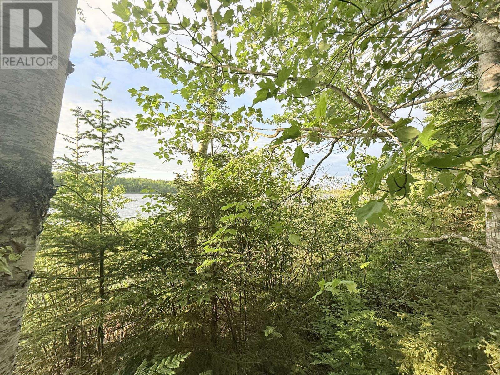 5 Acres Floating Bridge Road, Rte 202, Murray River, Prince Edward Island  C0A 1W0 - Photo 19 - 202614673