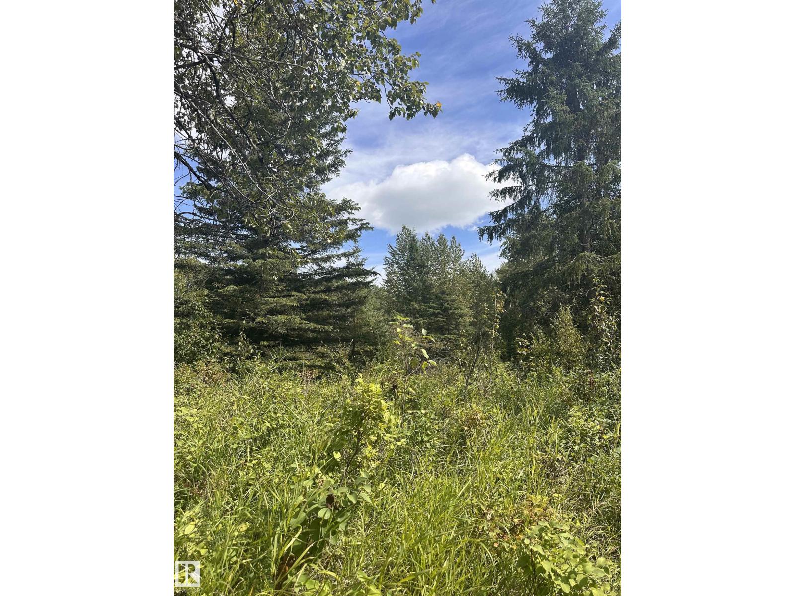 620075 Rge Rd 51, Rural Woodlands County, Alberta  T0G 1A0 - Photo 12 - E4489526