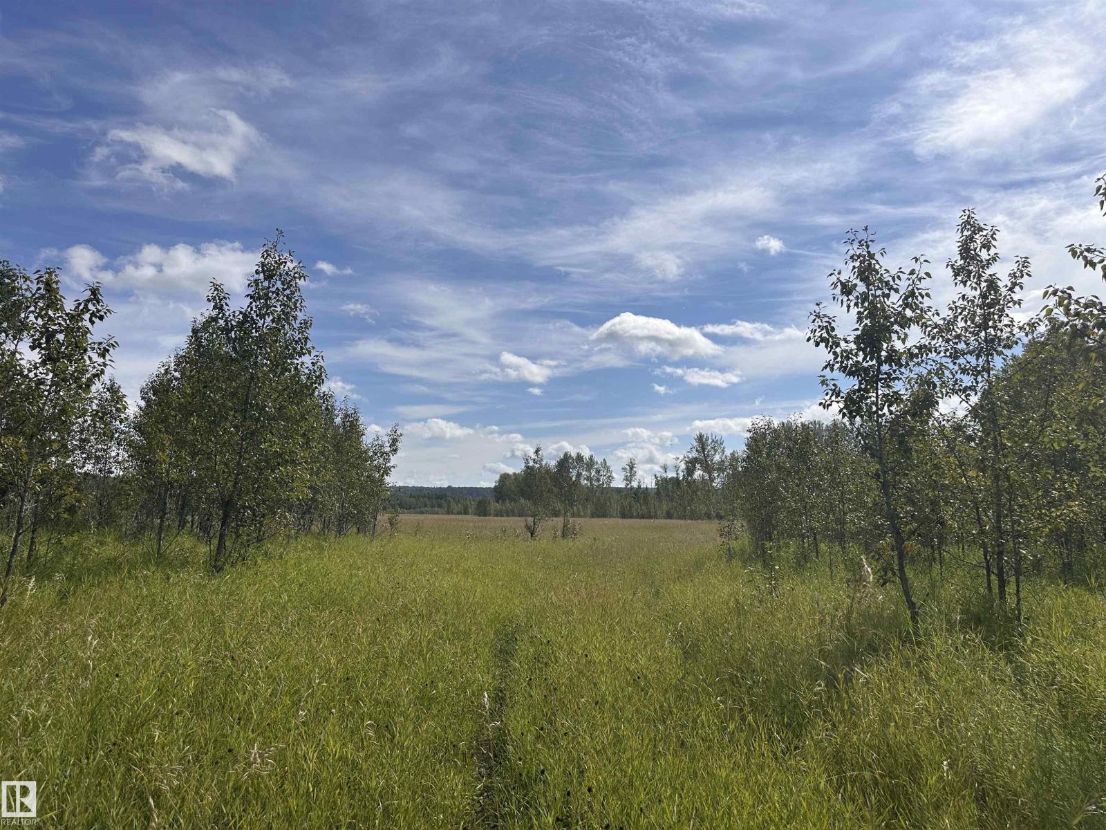 620075 Rge Rd 51, Rural Woodlands County, Alberta  T0G 1A0 - Photo 16 - E4489526