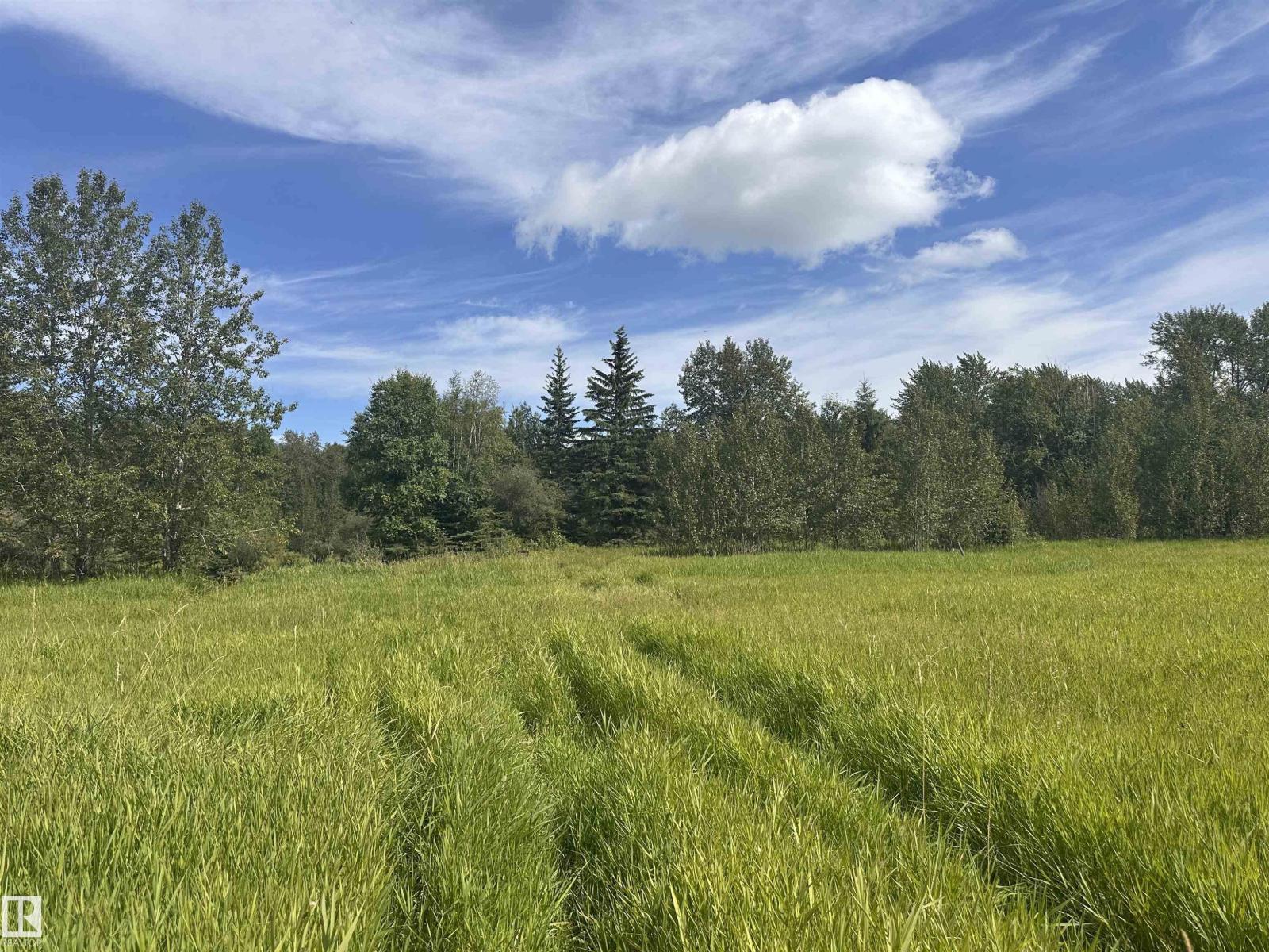 620075 Rge Rd 51, Rural Woodlands County, Alberta  T0G 1A0 - Photo 11 - E4489526