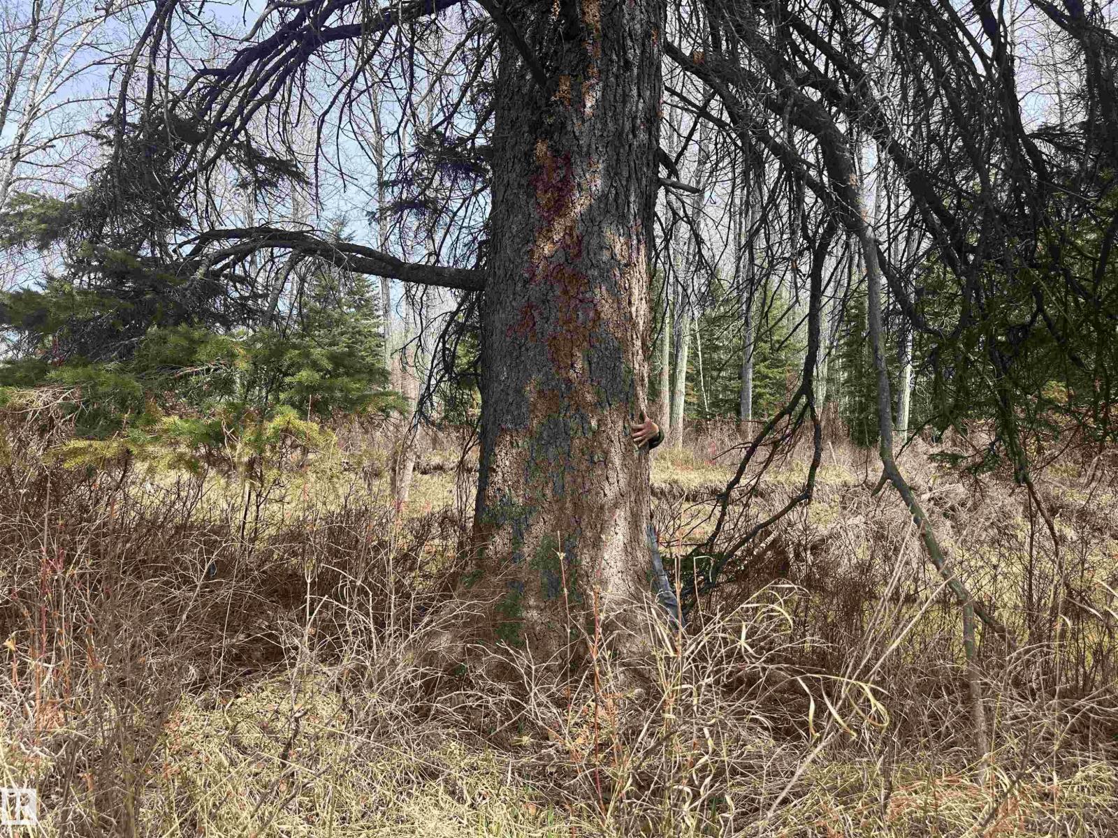 620075 Rge Rd 51, Rural Woodlands County, Alberta  T0G 1A0 - Photo 23 - E4489526