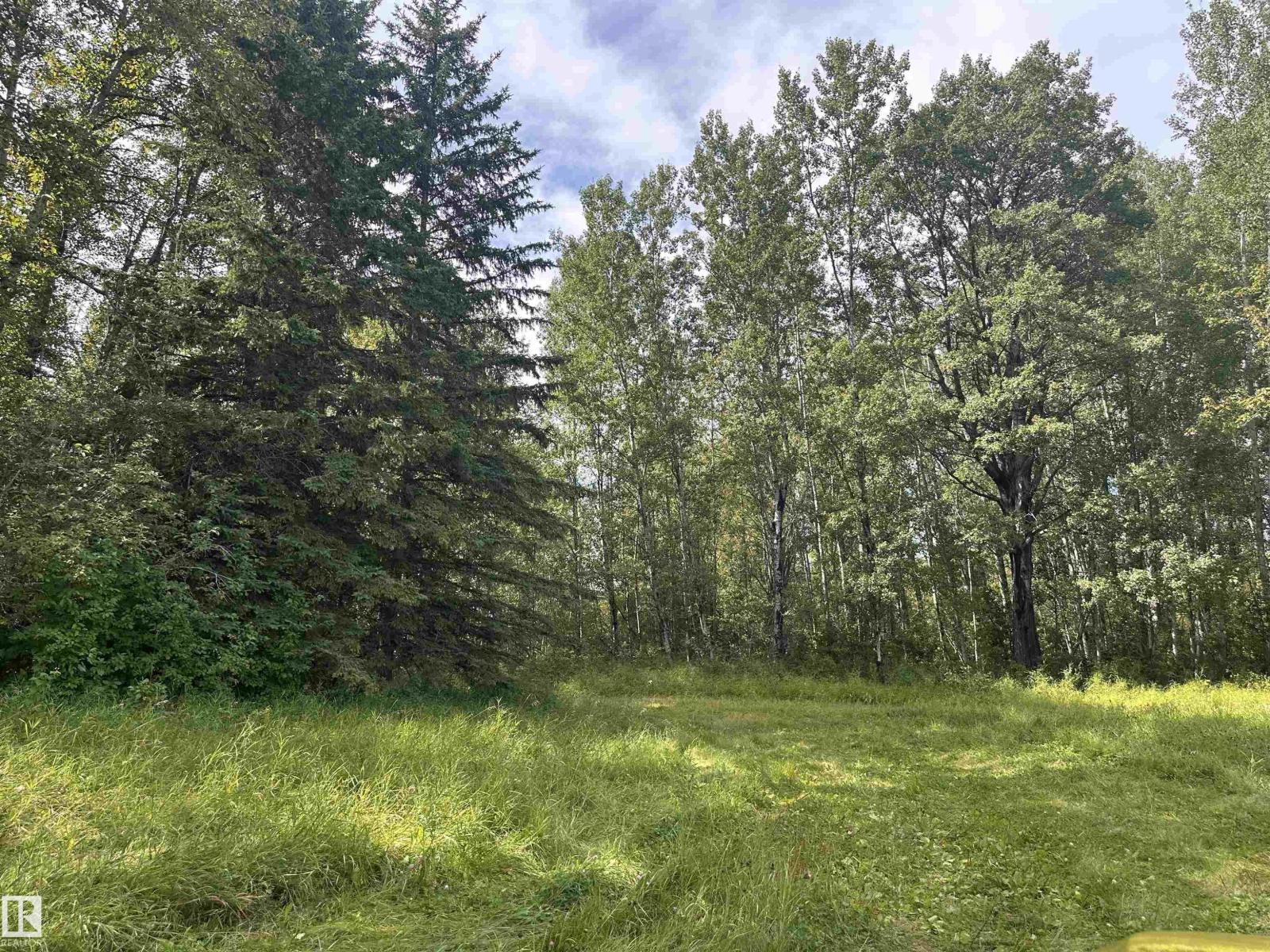 620075 Rge Rd 51, Rural Woodlands County, Alberta  T0G 1A0 - Photo 6 - E4489526