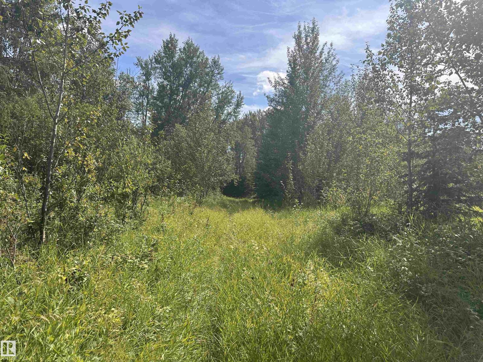 620075 Rge Rd 51, Rural Woodlands County, Alberta  T0G 1A0 - Photo 14 - E4489526