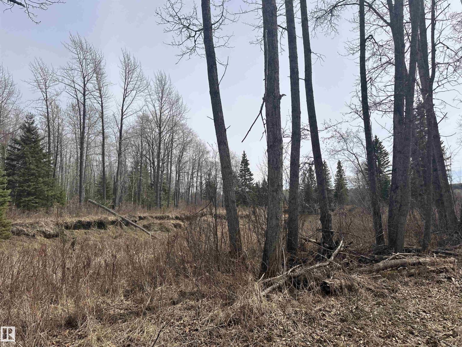 620075 Rge Rd 51, Rural Woodlands County, Alberta  T0G 1A0 - Photo 33 - E4489526
