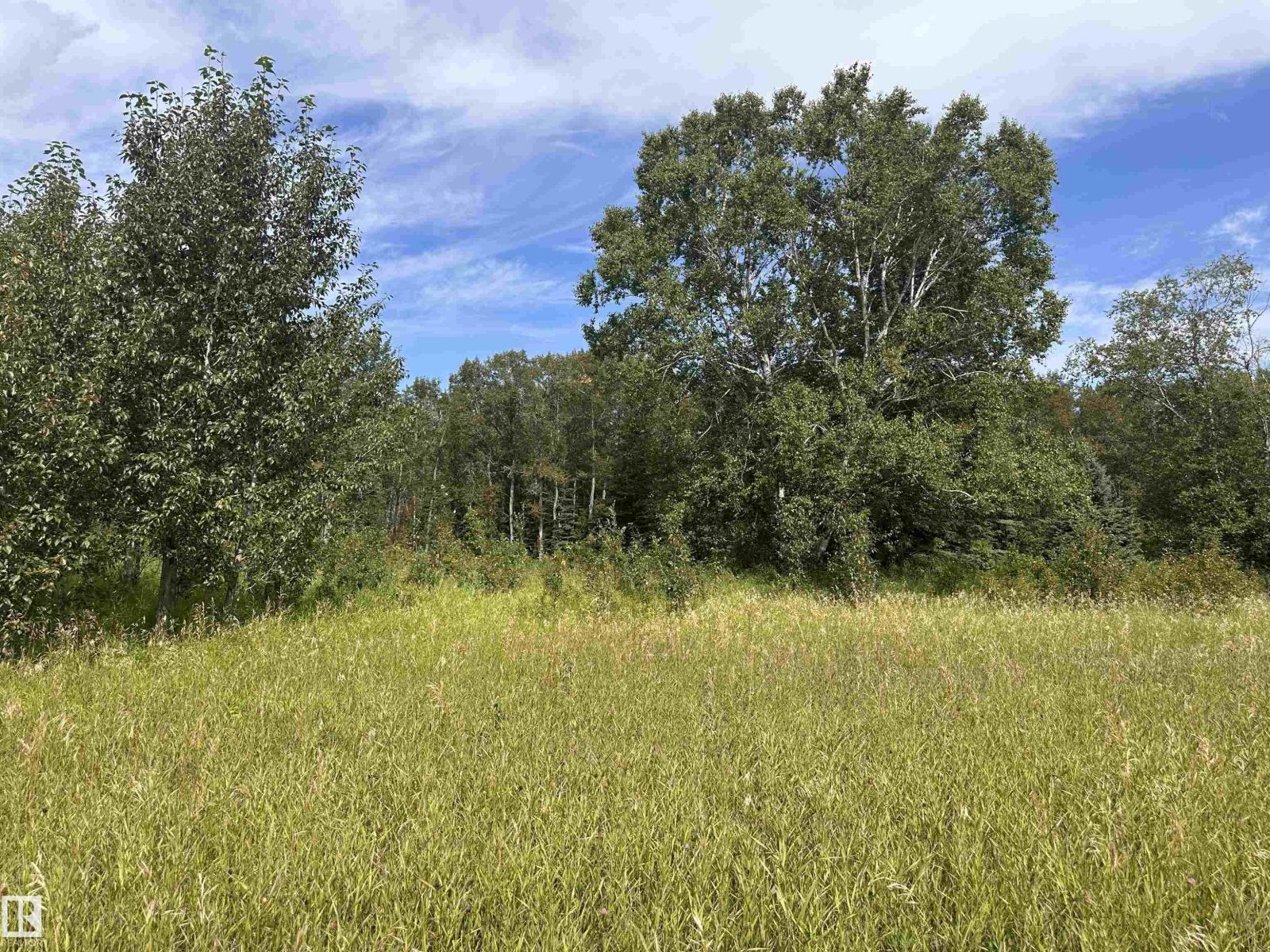 620075 Rge Rd 51, Rural Woodlands County, Alberta  T0G 1A0 - Photo 15 - E4489526