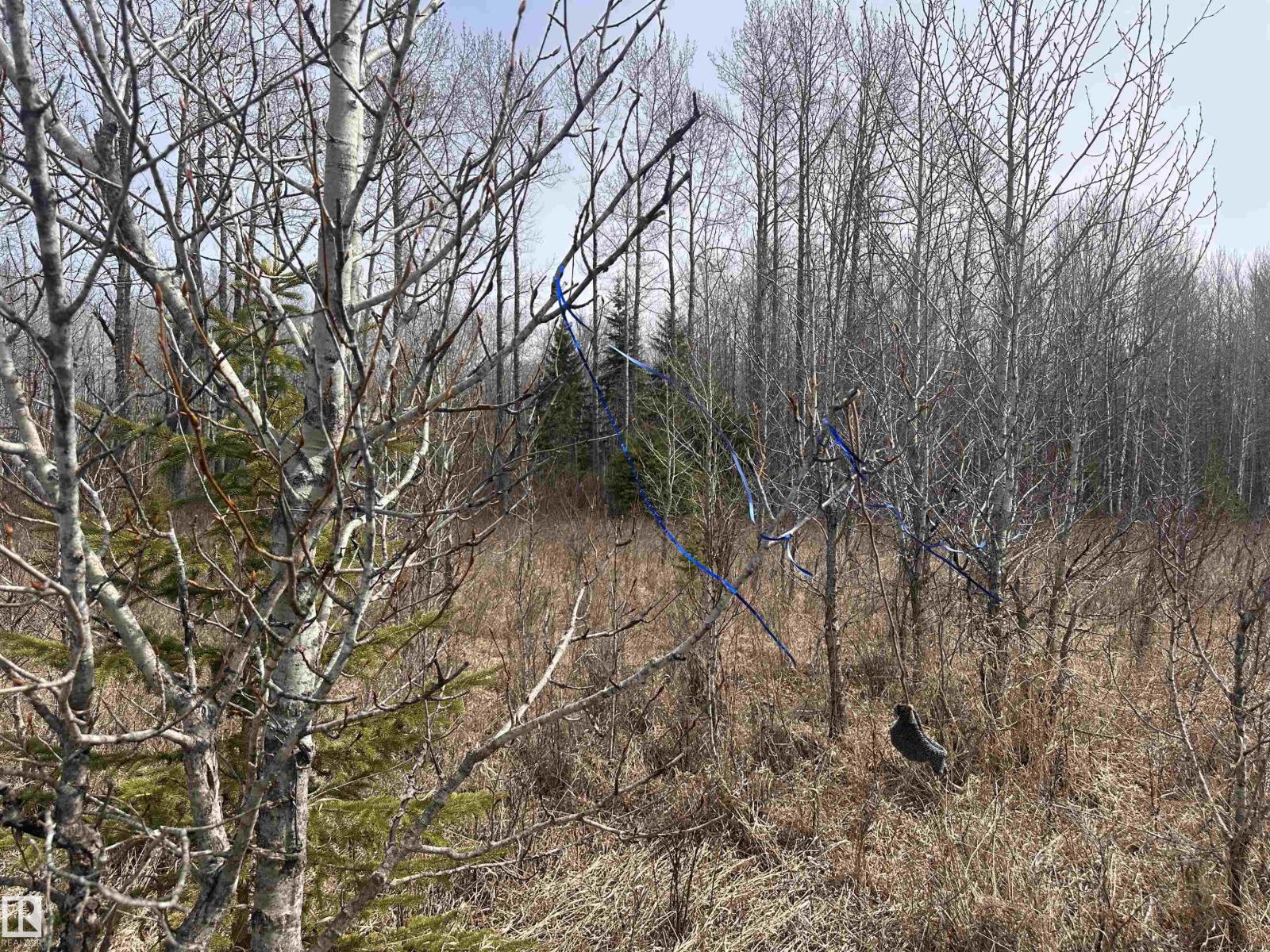 620075 Rge Rd 51, Rural Woodlands County, Alberta  T0G 1A0 - Photo 31 - E4489526