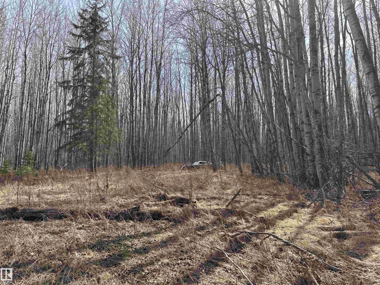 620075 Rge Rd 51, Rural Woodlands County, Alberta  T0G 1A0 - Photo 49 - E4489526
