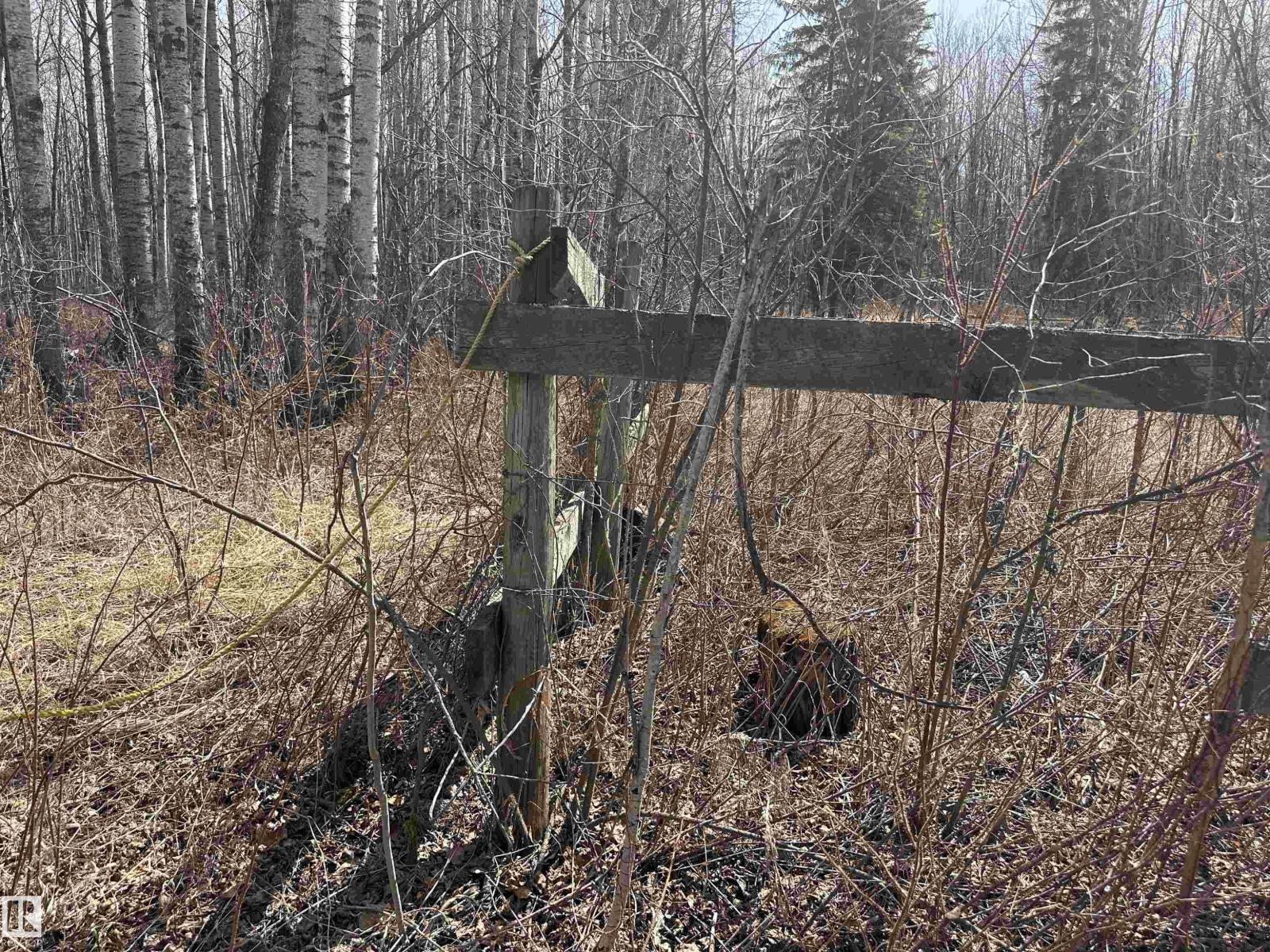 620075 Rge Rd 51, Rural Woodlands County, Alberta  T0G 1A0 - Photo 48 - E4489526