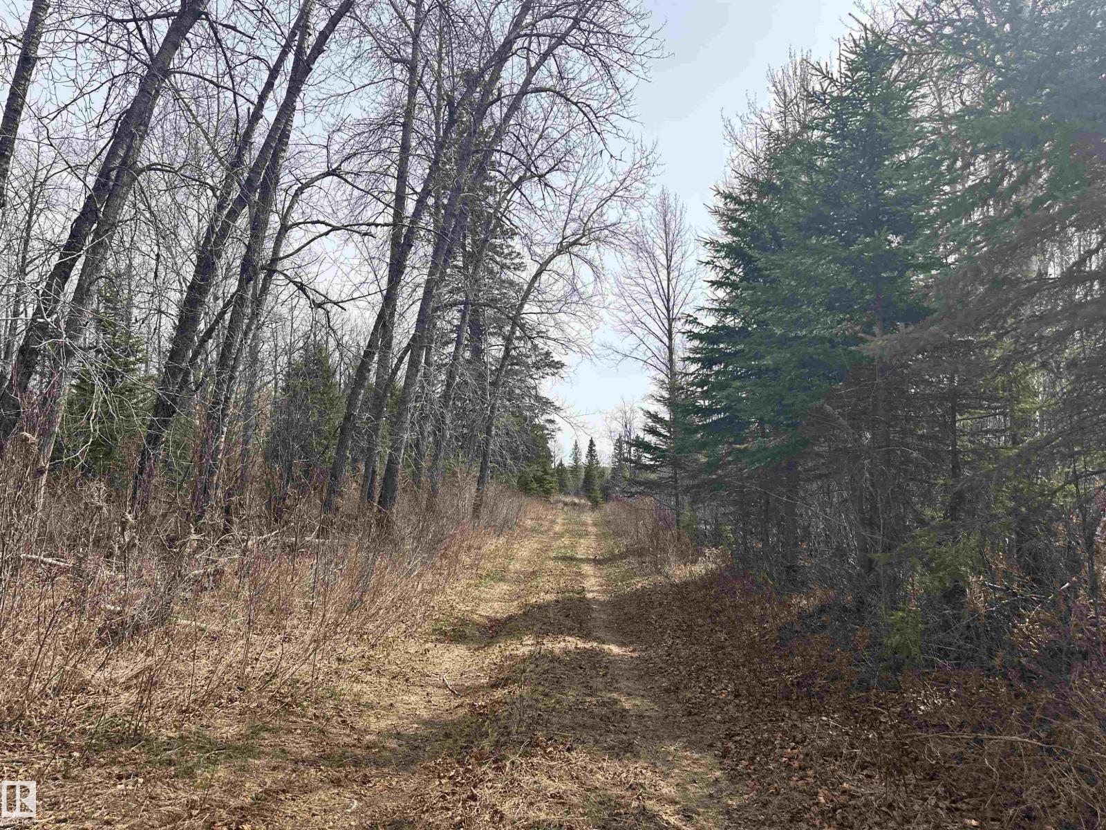 620075 Rge Rd 51, Rural Woodlands County, Alberta  T0G 1A0 - Photo 35 - E4489526
