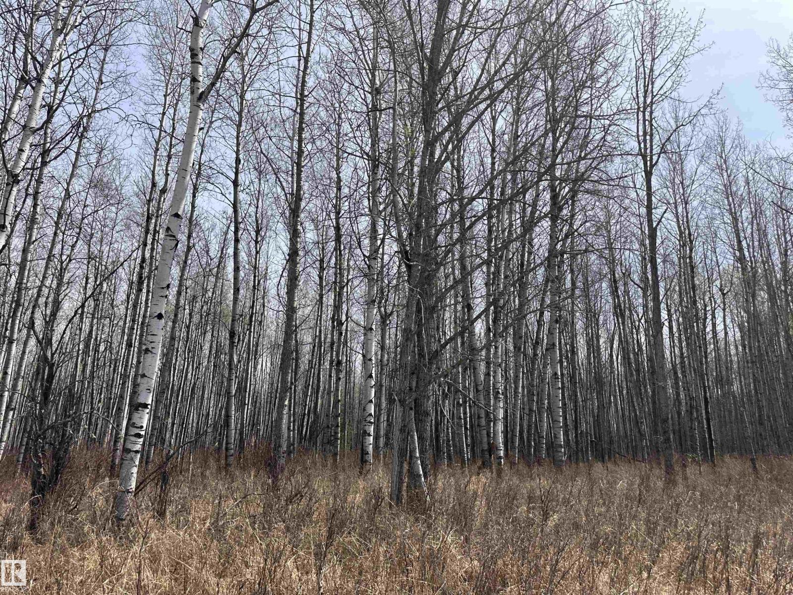620075 Rge Rd 51, Rural Woodlands County, Alberta  T0G 1A0 - Photo 46 - E4489526