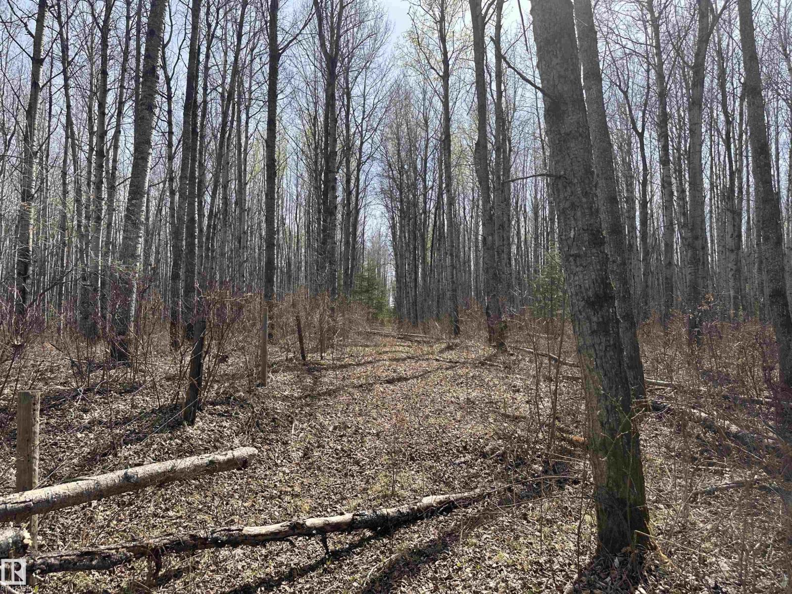 620075 Rge Rd 51, Rural Woodlands County, Alberta  T0G 1A0 - Photo 47 - E4489526