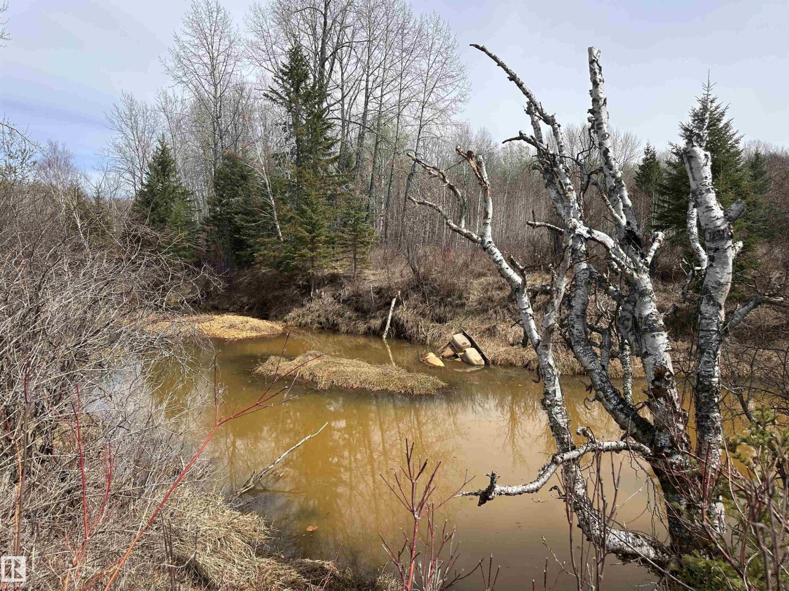 620075 Rge Rd 51, Rural Woodlands County, Alberta  T0G 1A0 - Photo 39 - E4489526