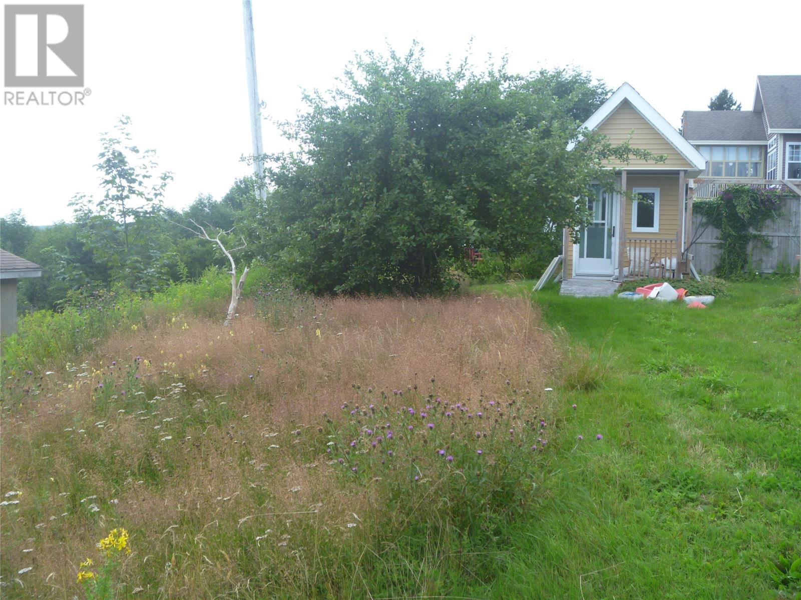 34 Mahaneys Lane, Carbonear — photo 6