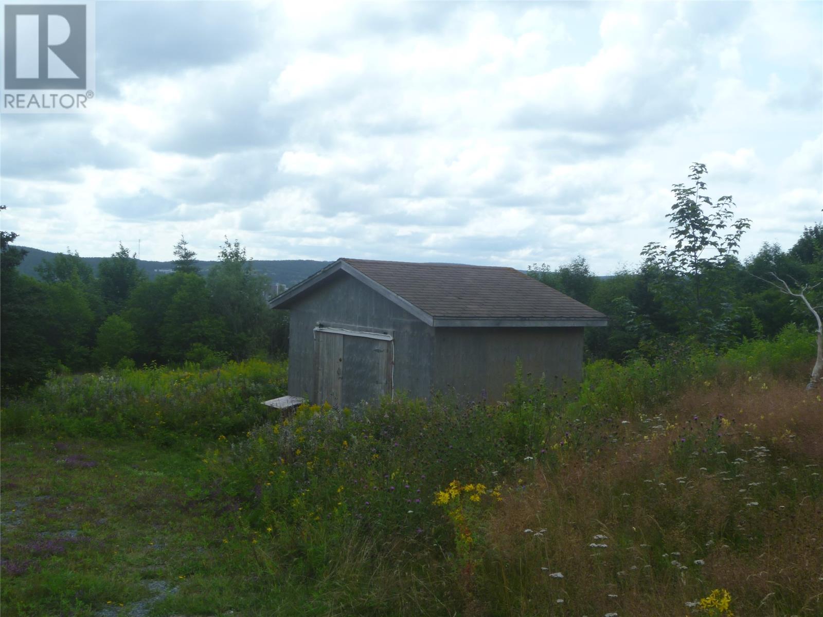 34 Mahaneys Lane, Carbonear — photo 5