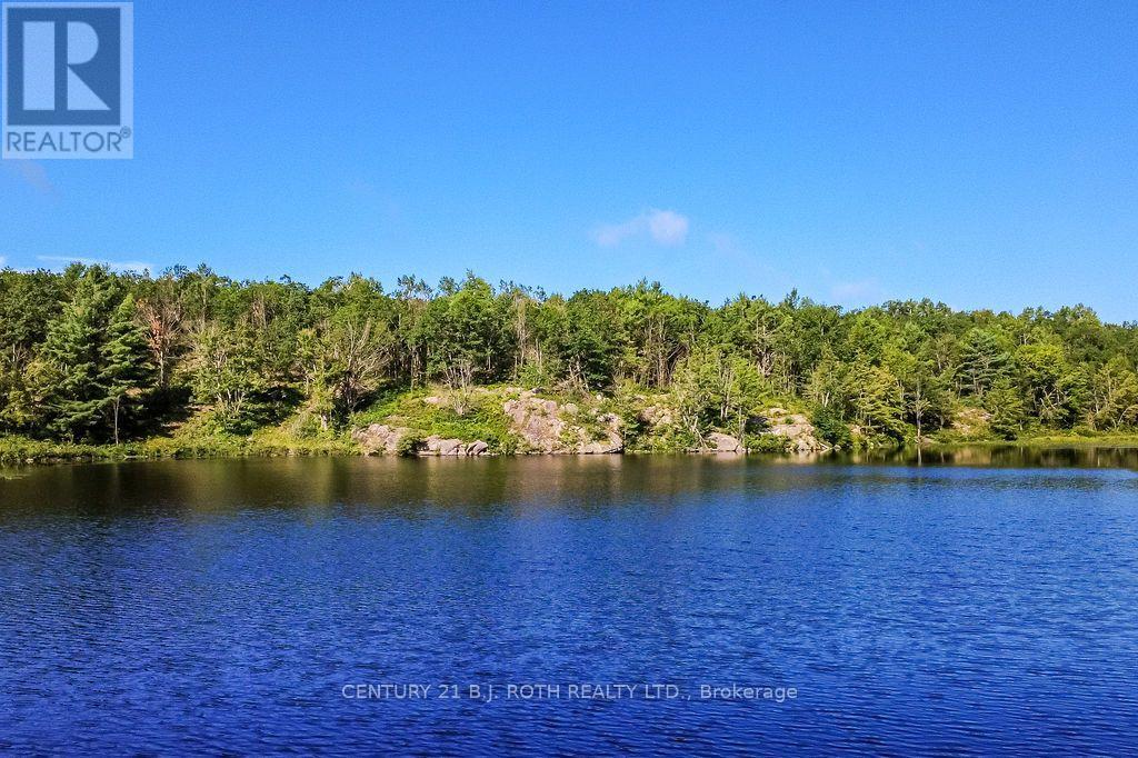 11107 Devils Lake Road, Minden Hills, Ontario  K0M 2K0 - Photo 26 - X13688392