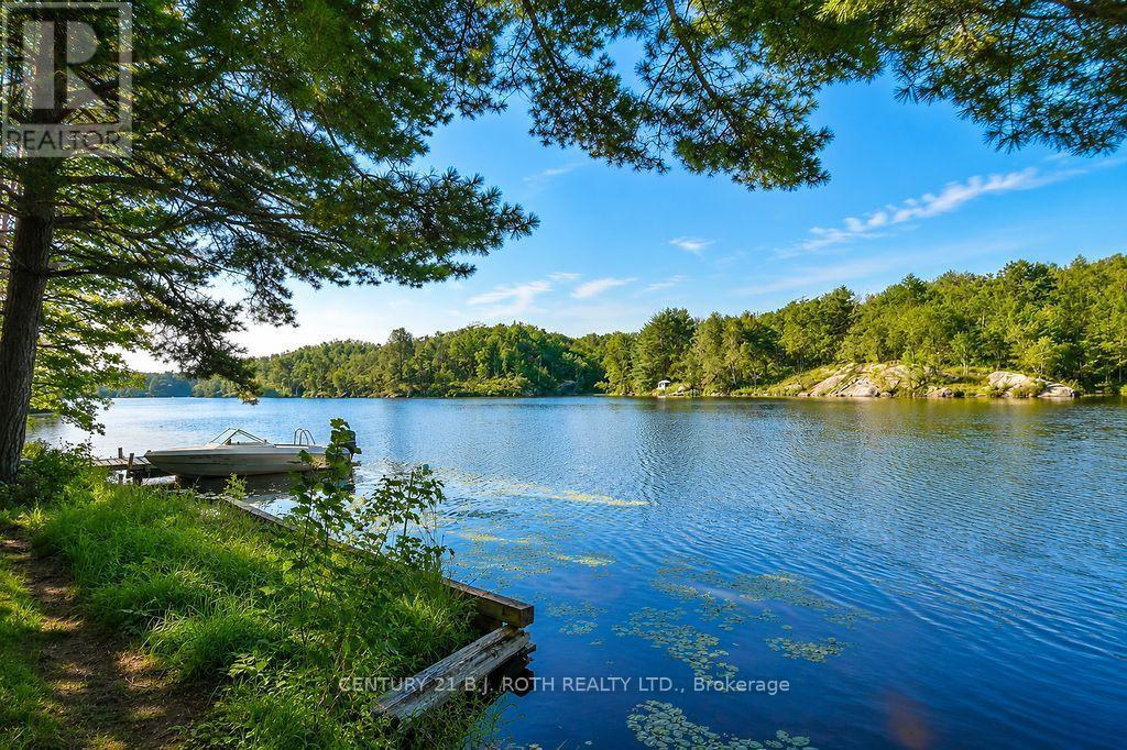 11107 Devils Lake Road, Minden Hills, Ontario  K0M 2K0 - Photo 4 - X13688392