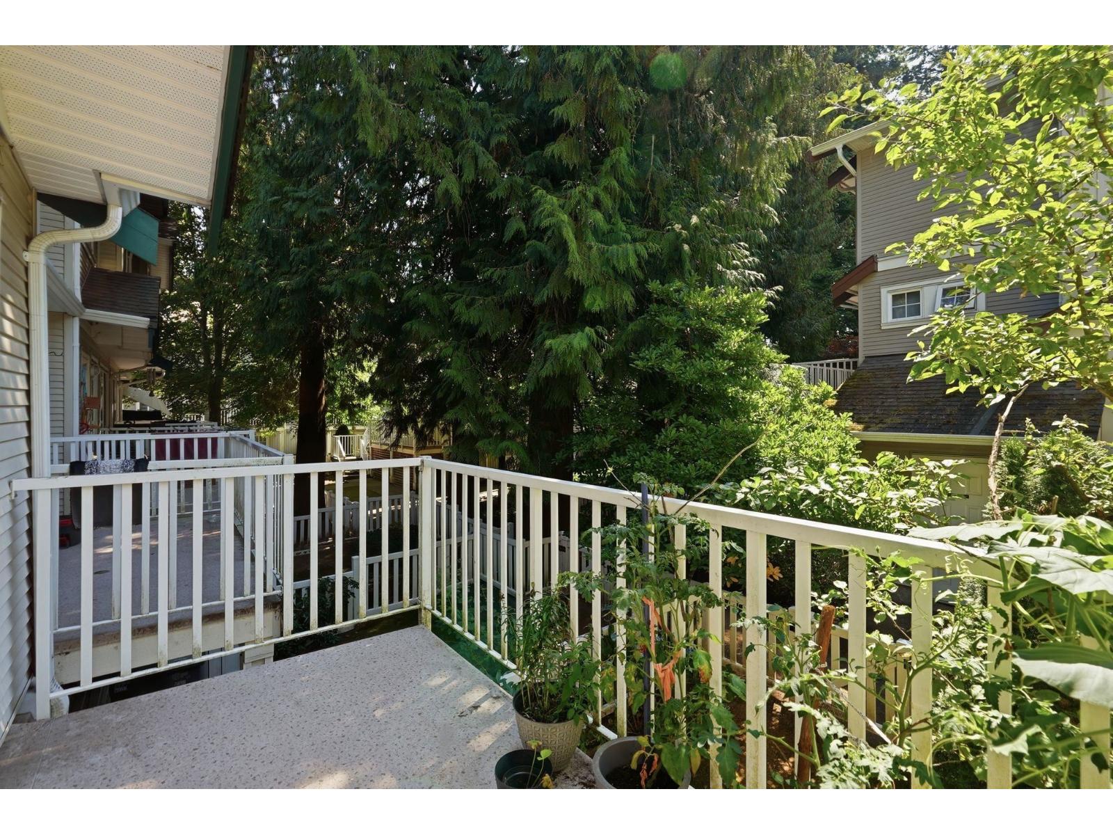 38 12711 64 Avenue, Surrey, British Columbia  V3W 1X1 - Photo 16 - R3155746