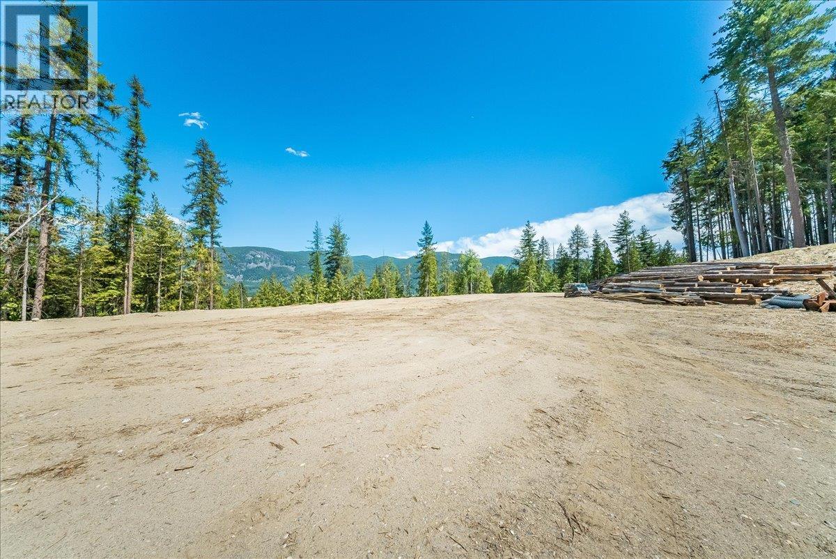 1110 23rd Street, Castlegar, British Columbia V1N 3A6 - Photo 16 - 10395340