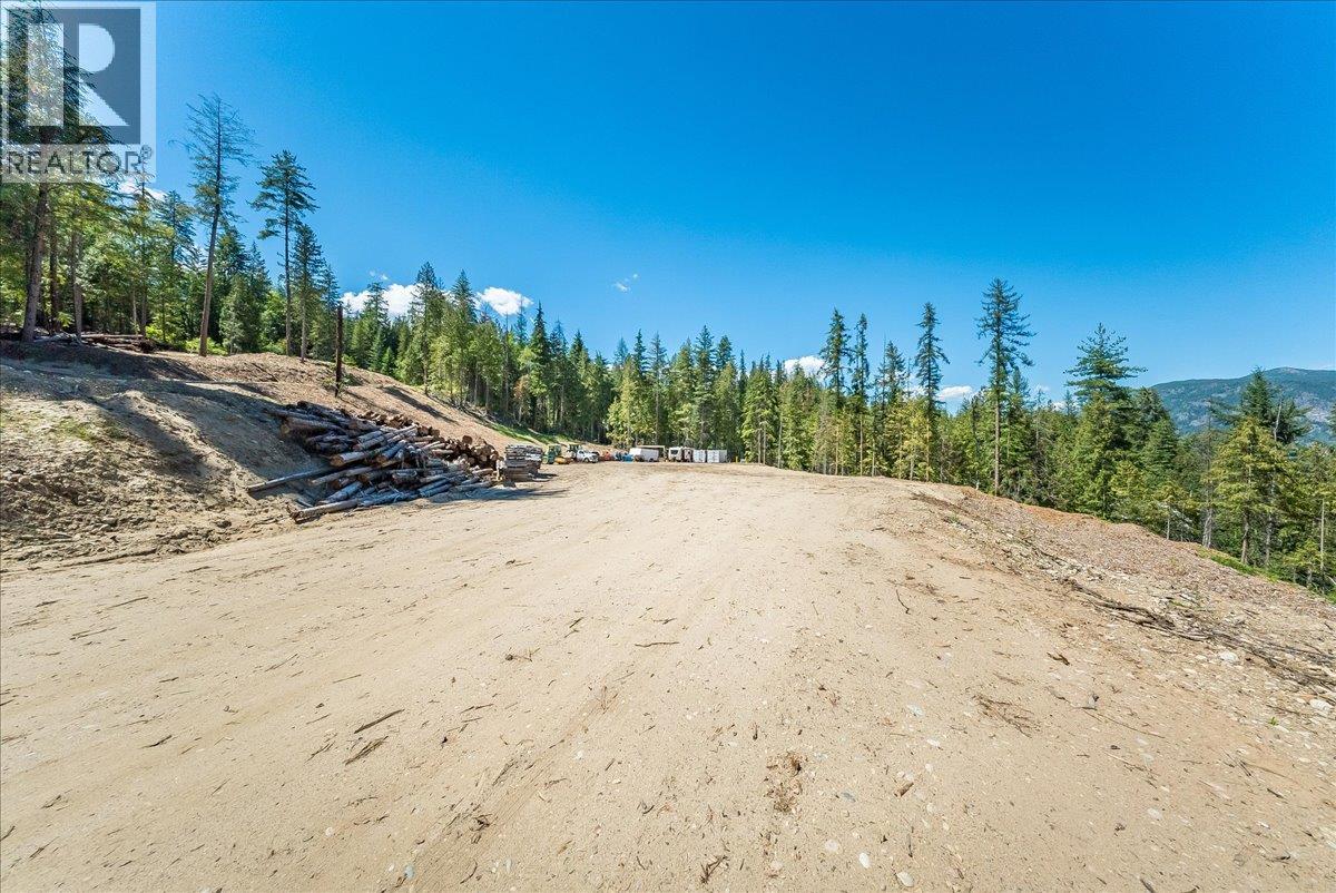1110 23rd Street, Castlegar, British Columbia V1N 3A6 - Photo 17 - 10395340