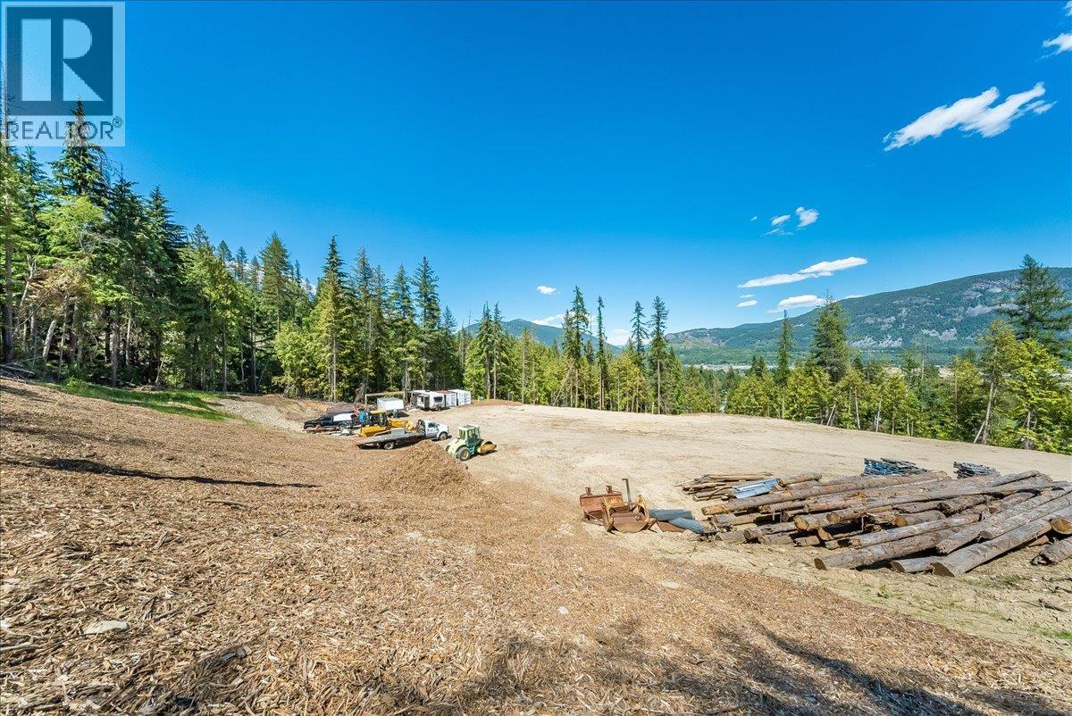 1110 23rd Street, Castlegar, British Columbia V1N 3A6 - Photo 13 - 10395340