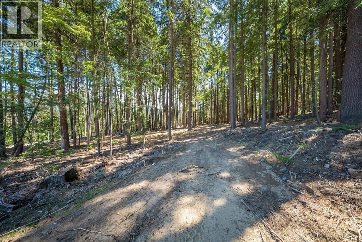 1110 23rd Street, Castlegar, British Columbia V1N 3A6 - Photo 12 - 10395340