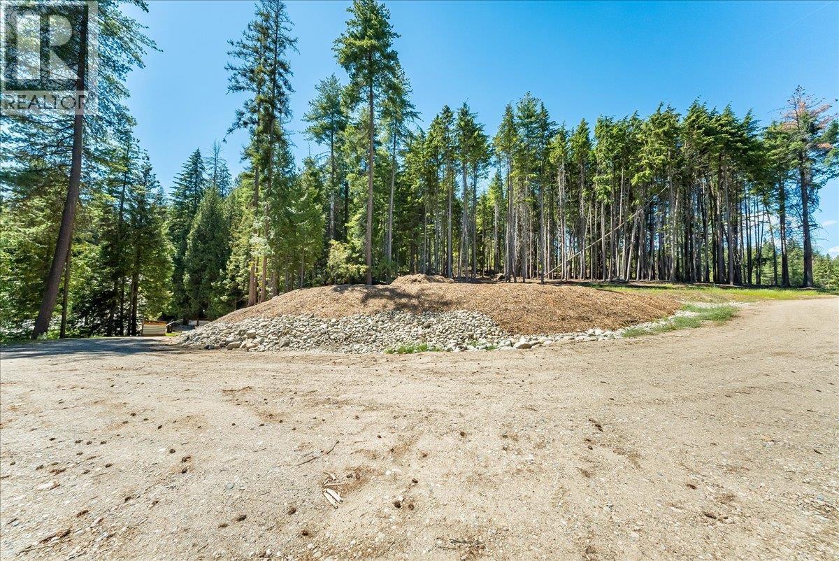 1110 23rd Street, Castlegar, British Columbia V1N 3A6 - Photo 20 - 10395340