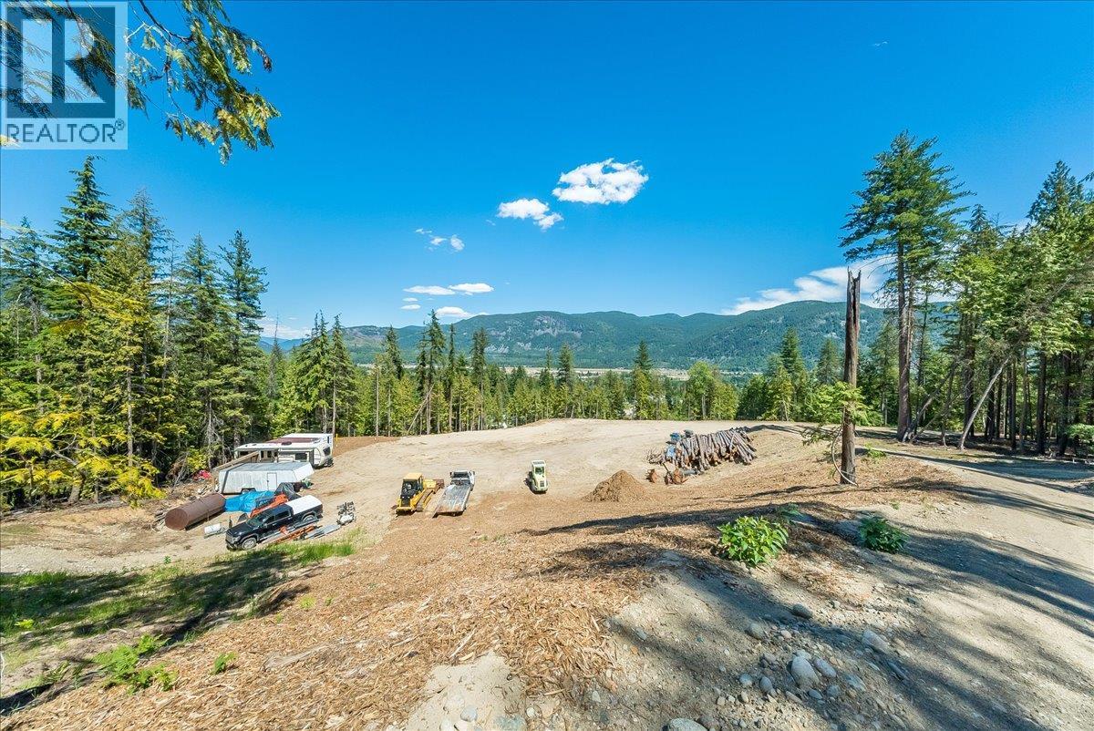 1110 23rd Street, Castlegar, British Columbia V1N 3A6 - Photo 14 - 10395340
