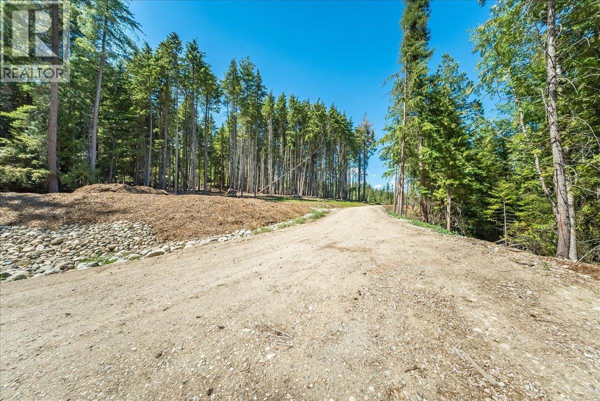 1110 23rd Street, Castlegar, British Columbia V1N 3A6 - Photo 19 - 10395340