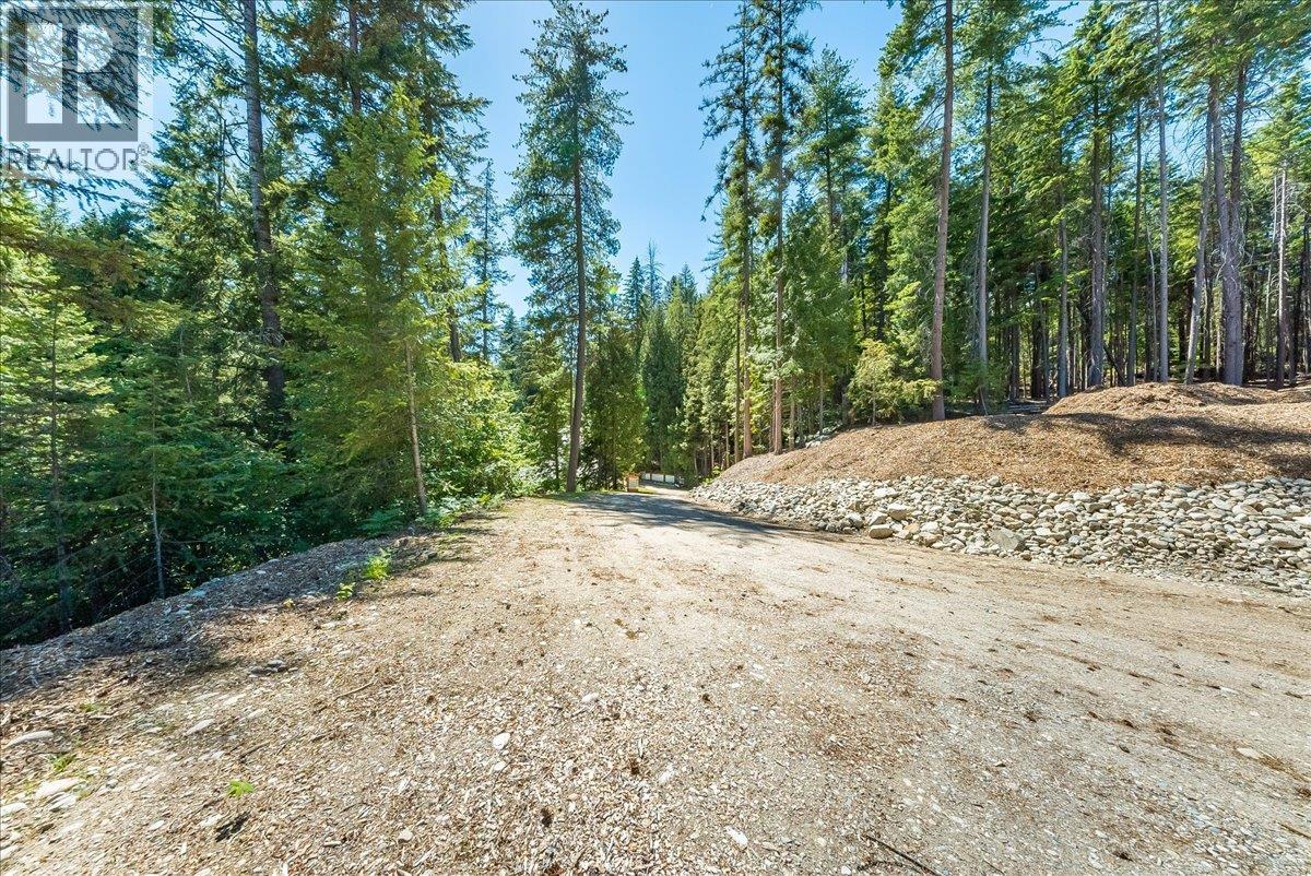 1110 23rd Street, Castlegar, British Columbia V1N 3A6 - Photo 21 - 10395340