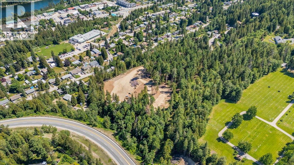 1110 23rd Street, Castlegar, British Columbia V1N 3A6 - Photo 4 - 10395340
