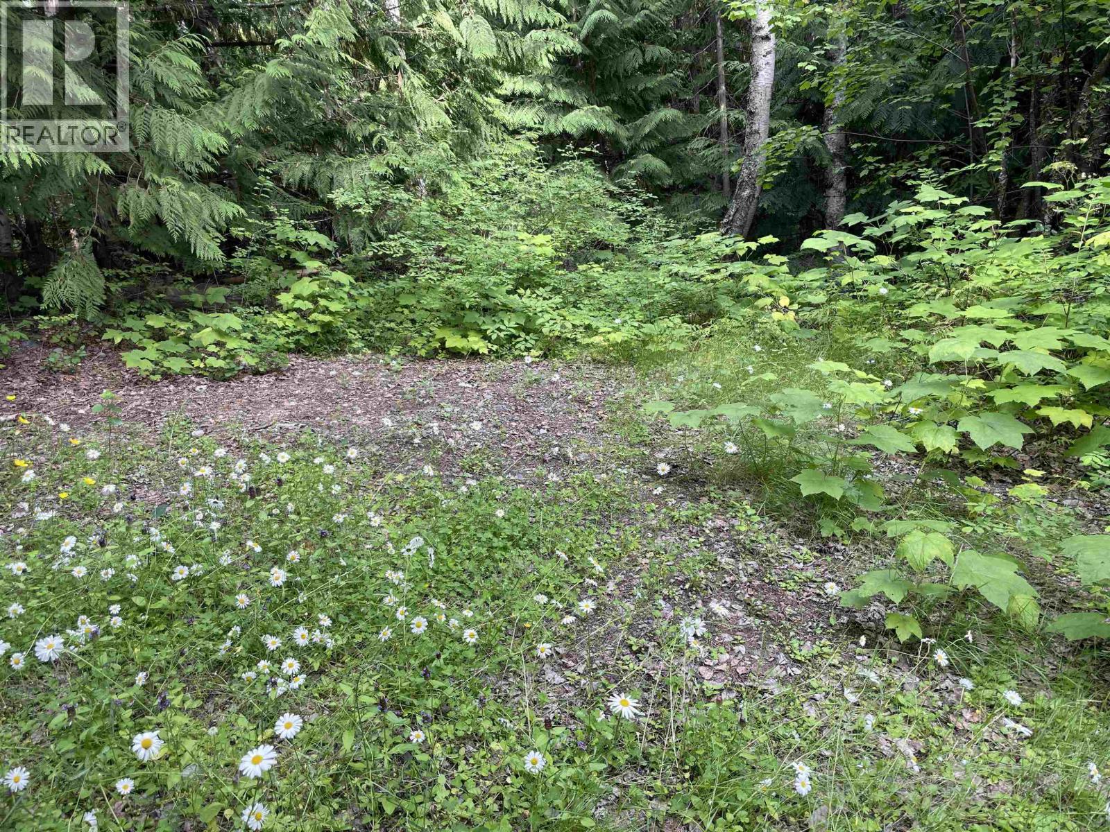 Dl830 Cedarvale Kitwanga Back Road, Kitwanga, British Columbia  V0J 2A0 - Photo 7 - R3156891