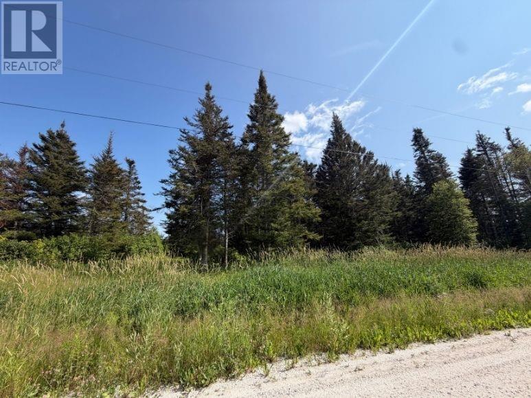 5 Meadow Brook Rd Ext, Reidville, Newfoundland & Labrador