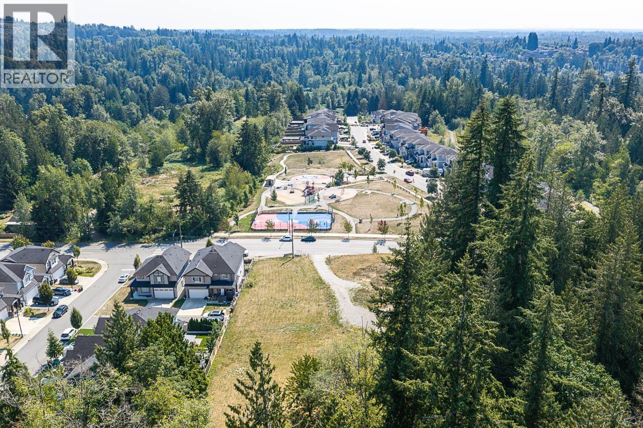 24177 112 Avenue, Maple Ridge, British Columbia  V2W 1H5 - Photo 13 - R3156807