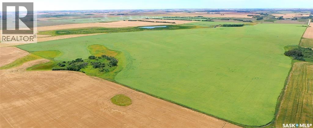 Elcapo Esterhuyse Farm, Elcapo Rm No. 154, Saskatchewan  S0G 2B0 - Photo 45 - SK045884