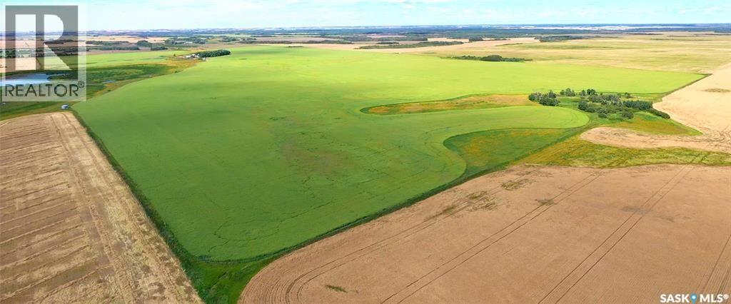 Elcapo Esterhuyse Farm, Elcapo Rm No. 154, Saskatchewan  S0G 2B0 - Photo 47 - SK045884