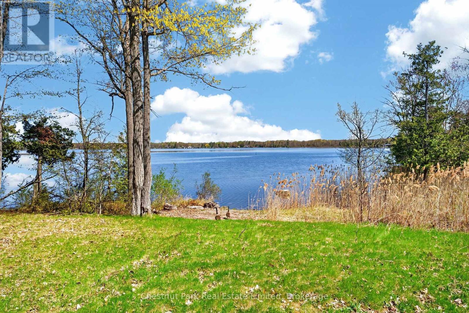 0 Nappan Island Road, Trent Hills, Ontario  K0L 2Z0 - Photo 8 - X13688860