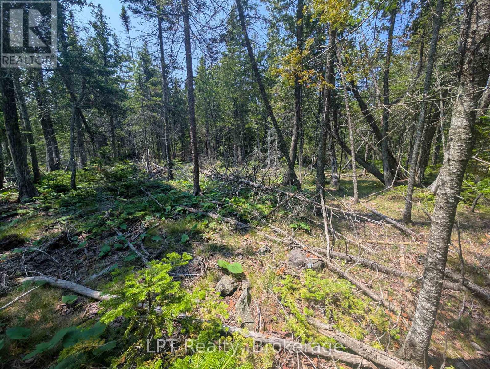 1226 Dorcas Bay Road, Northern Bruce Peninsula, Ontario  N0H 2R0 - Photo 12 - X12974902