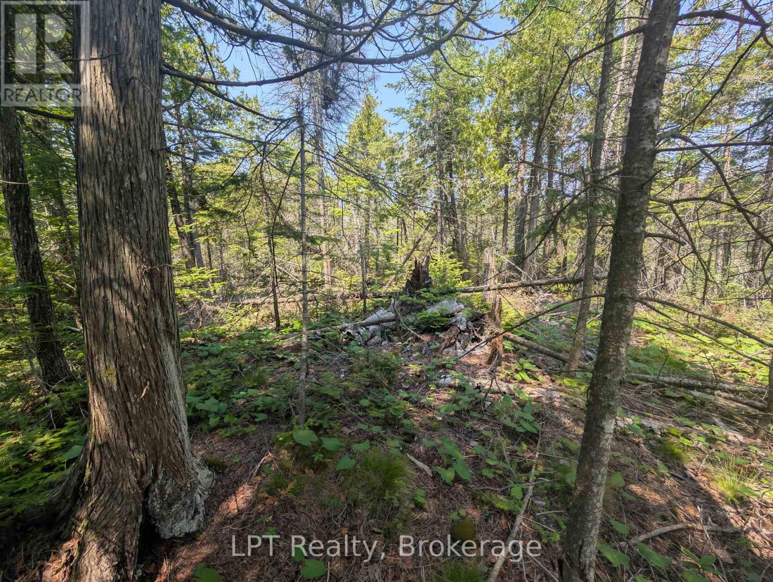 1226 Dorcas Bay Road, Northern Bruce Peninsula, Ontario  N0H 2R0 - Photo 14 - X12974902