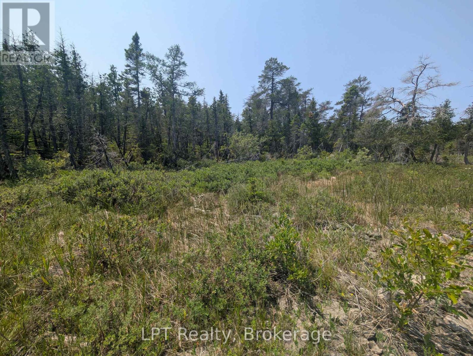 1226 Dorcas Bay Road, Northern Bruce Peninsula, Ontario  N0H 2R0 - Photo 22 - X12974902