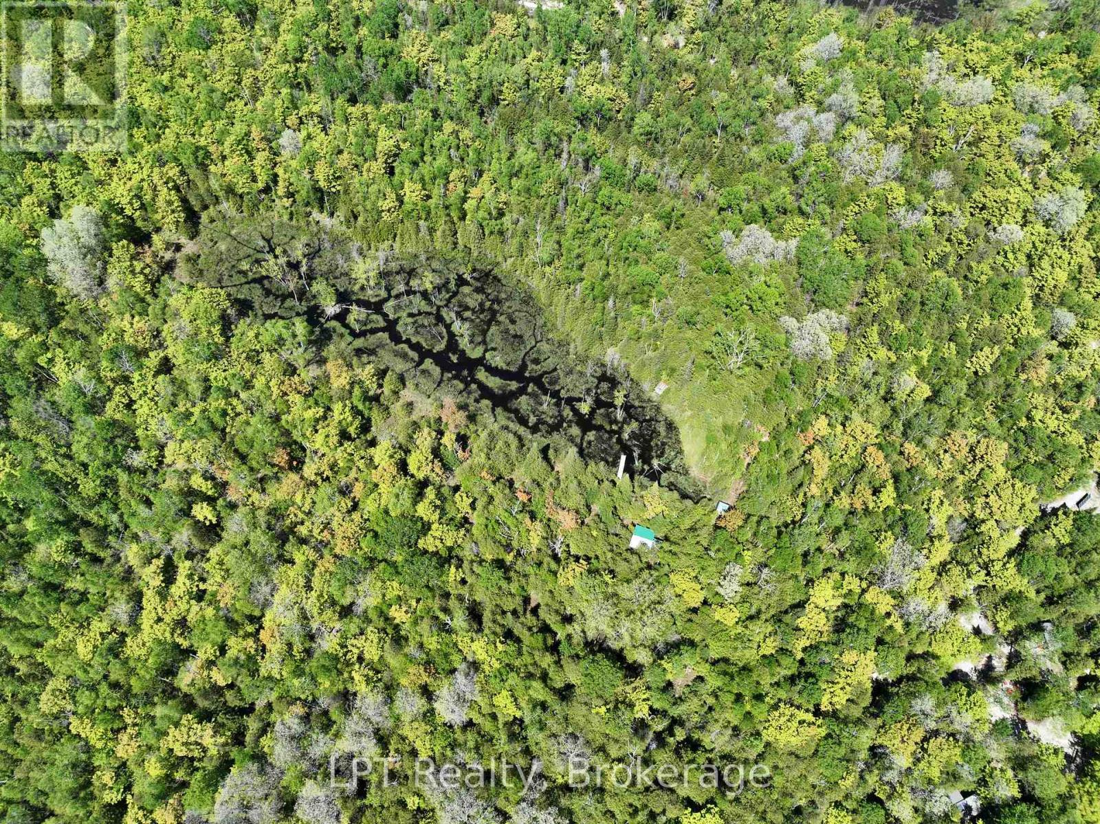 101 Log Cabin Lane, South Bruce Peninsula, Ontario  N0H 2T0 - Photo 5 - X12989694