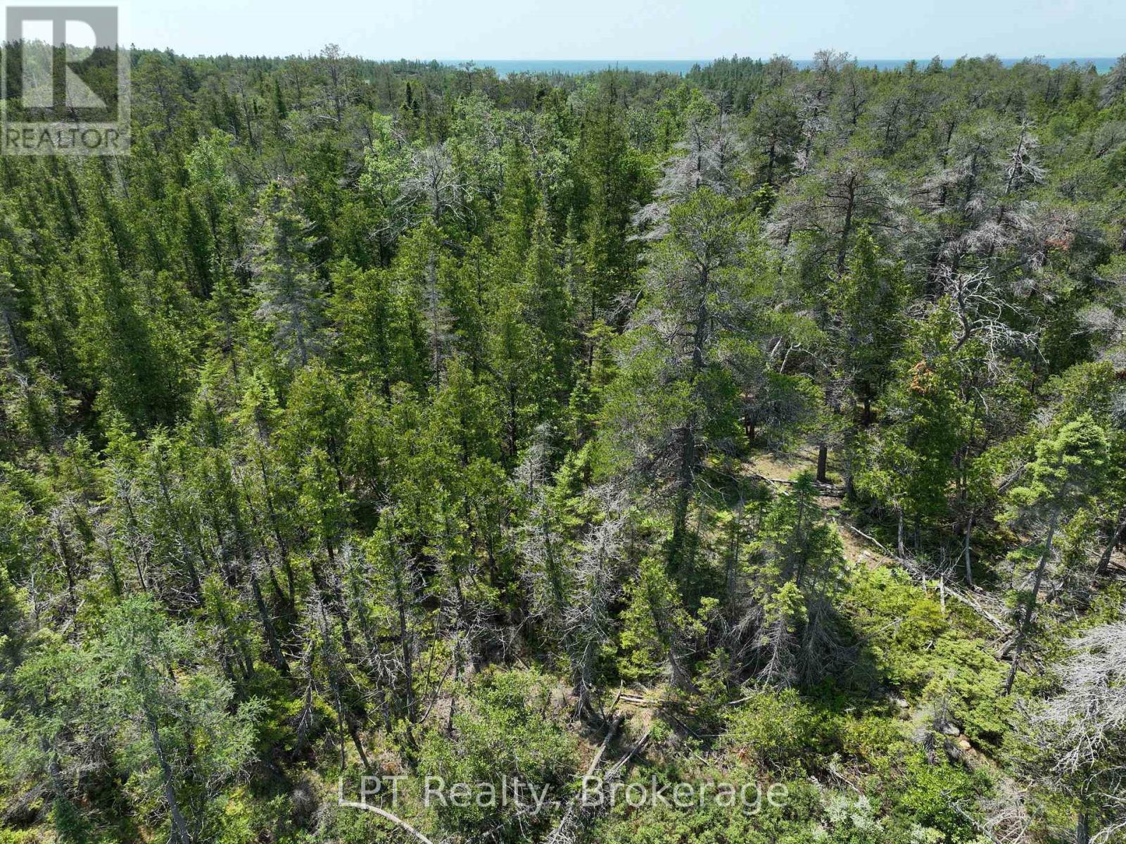 1226 Dorcas Bay Road, Northern Bruce Peninsula, Ontario  N0H 2R0 - Photo 29 - X12974902