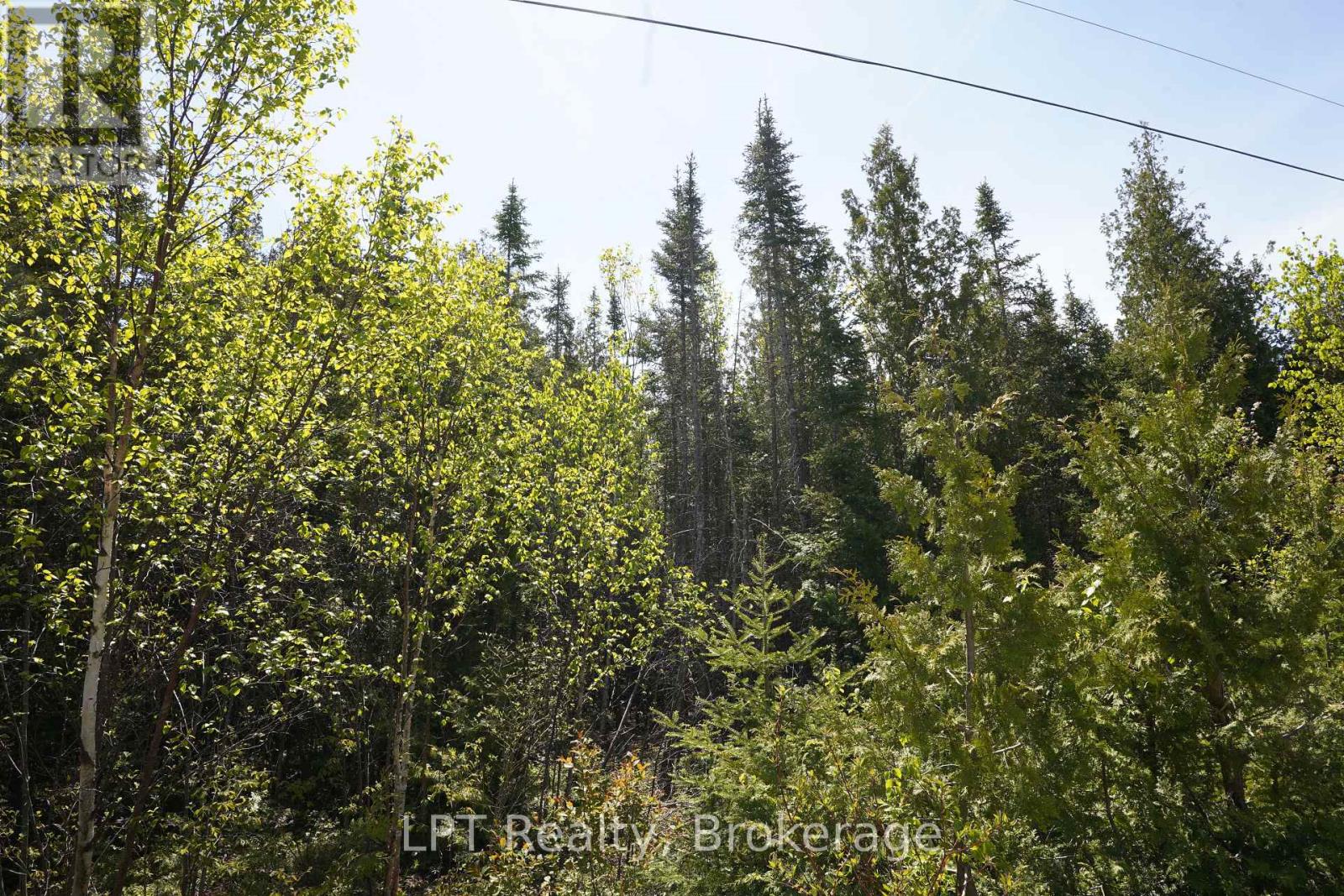76 Myles Drive, Northern Bruce Peninsula, Ontario  N0H 1W0 - Photo 10 - X12994476