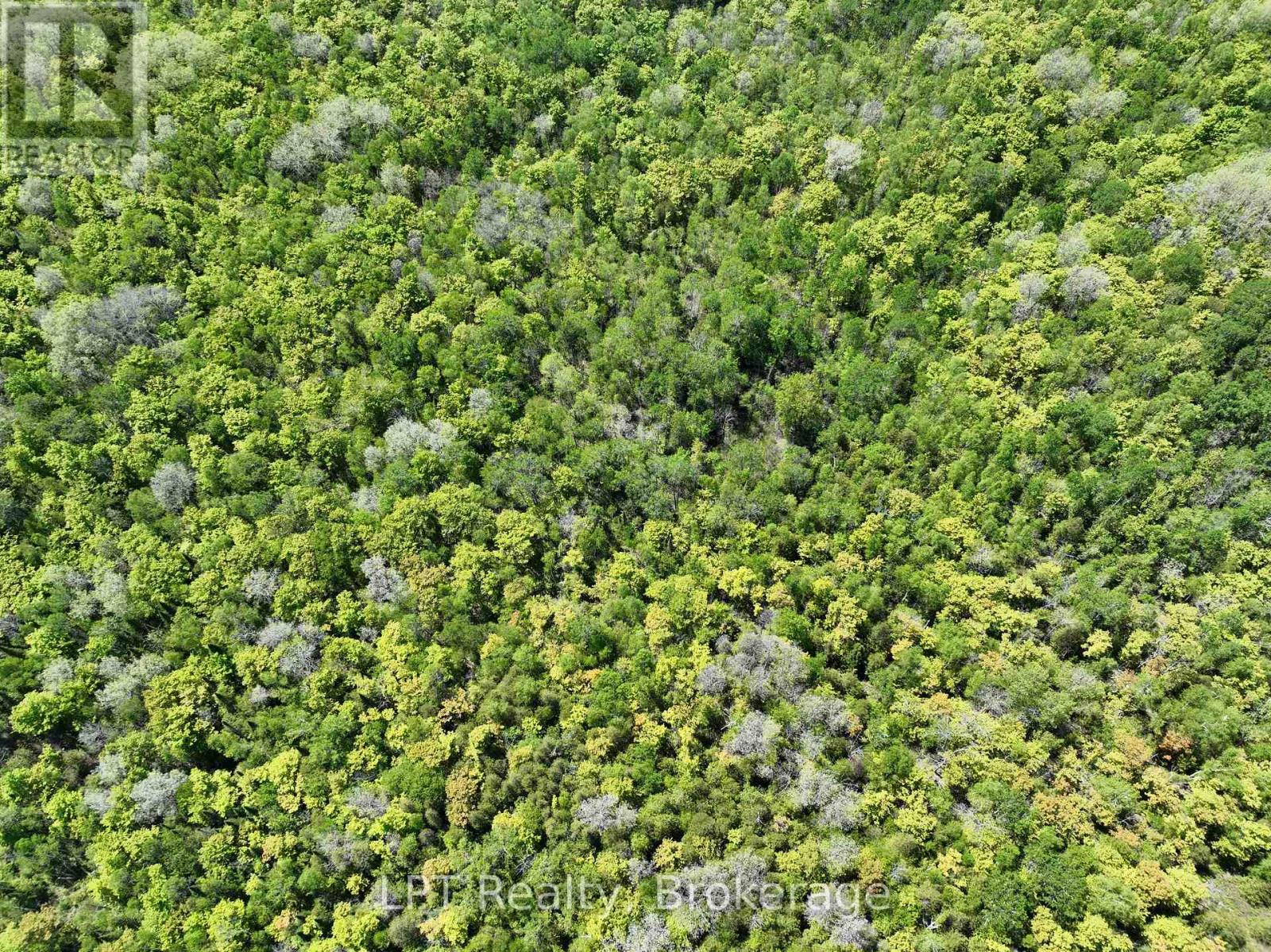 101 Log Cabin Lane, South Bruce Peninsula, Ontario  N0H 2T0 - Photo 6 - X12989694