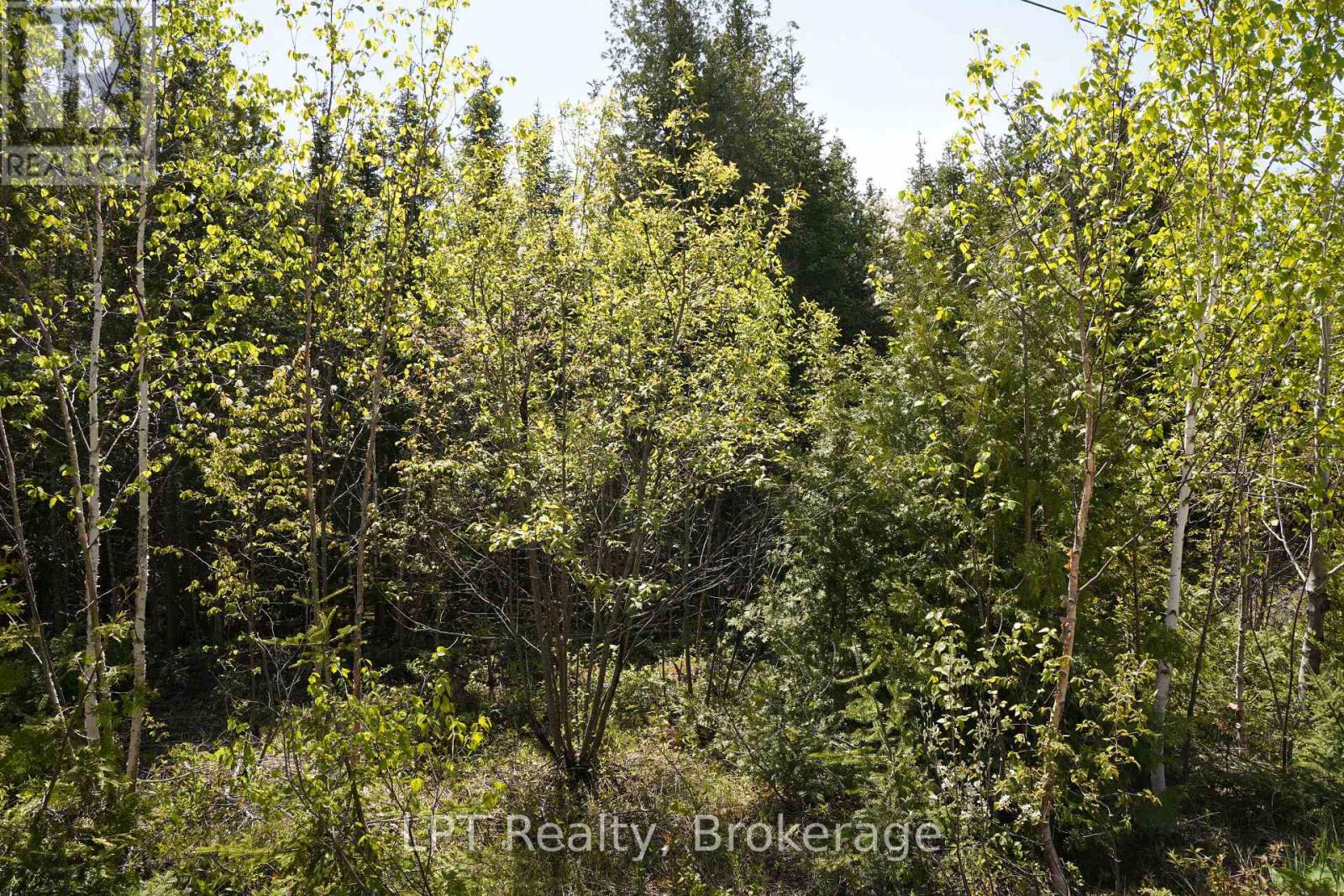76 Myles Drive, Northern Bruce Peninsula, Ontario  N0H 1W0 - Photo 14 - X12994476