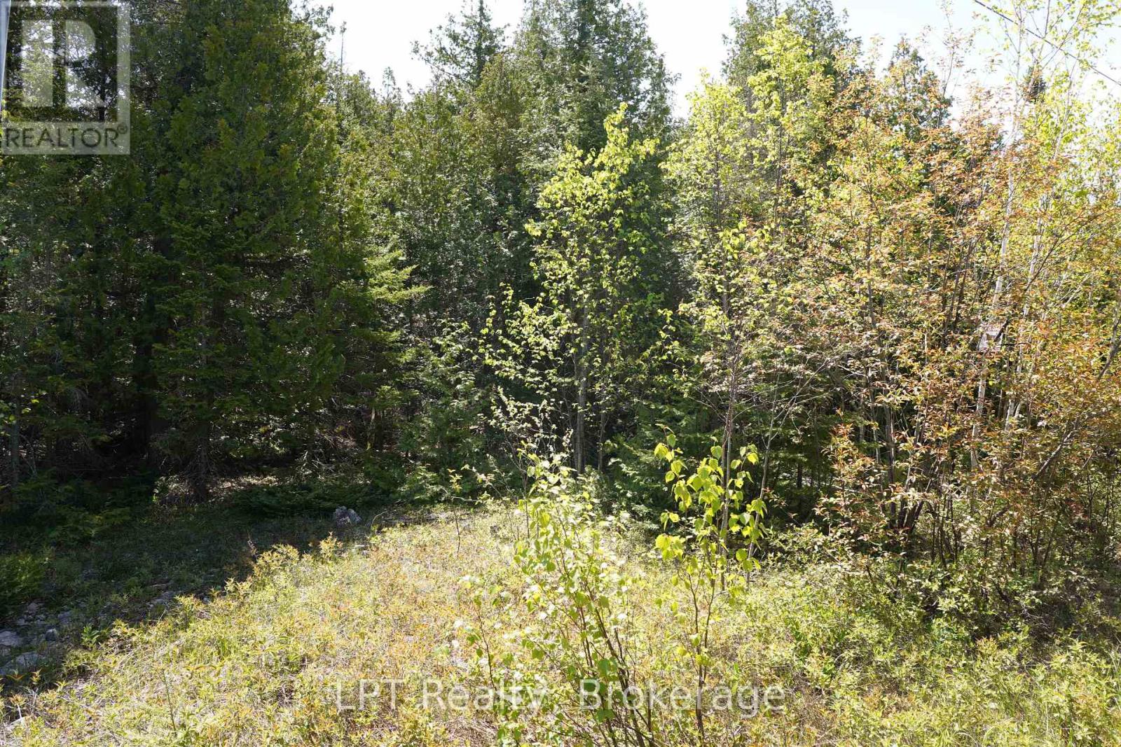 76 Myles Drive, Northern Bruce Peninsula, Ontario  N0H 1W0 - Photo 9 - X12994476