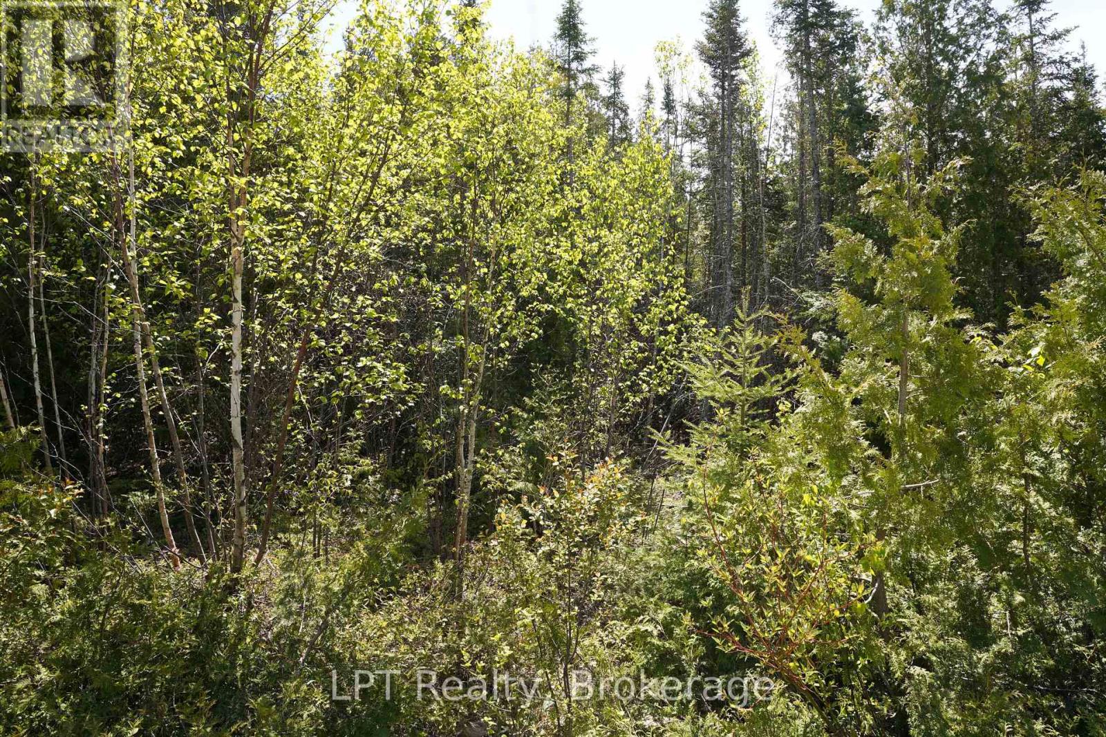 76 Myles Drive, Northern Bruce Peninsula, Ontario  N0H 1W0 - Photo 13 - X12994476
