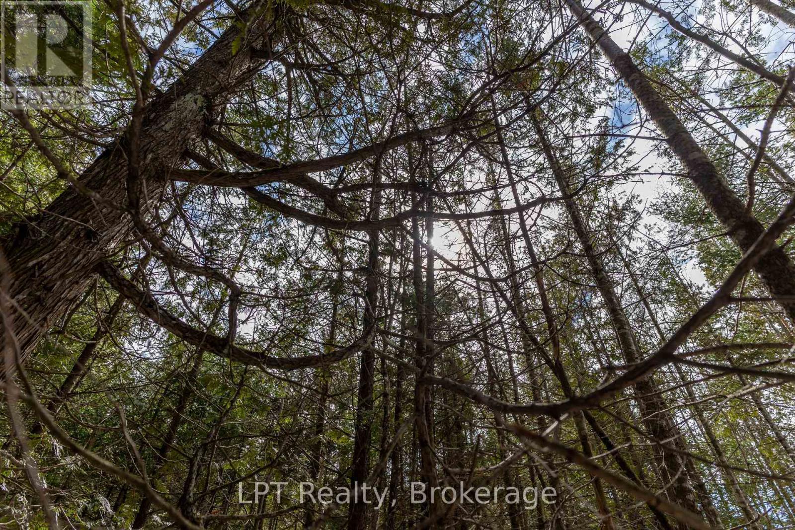 76 Myles Drive, Northern Bruce Peninsula, Ontario  N0H 1W0 - Photo 11 - X12994476